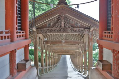 Okayama 'daki ünlü Kibitsu Jinja tapınağında.