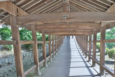 Okayama 'daki ünlü Kibitsu Jinja tapınağında.