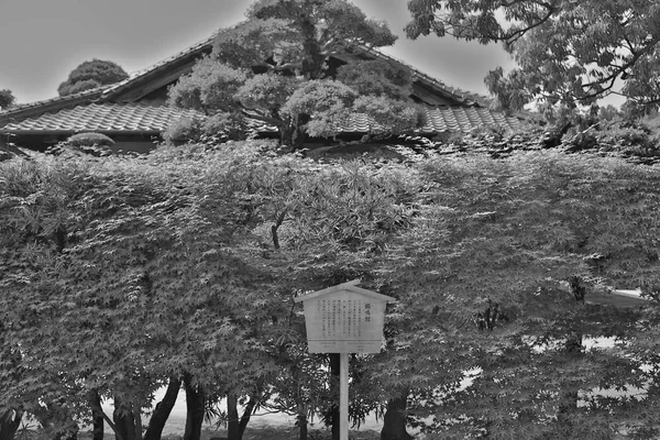 Korakuen Japonská Zahrada Okayama Japonsko — Stock fotografie