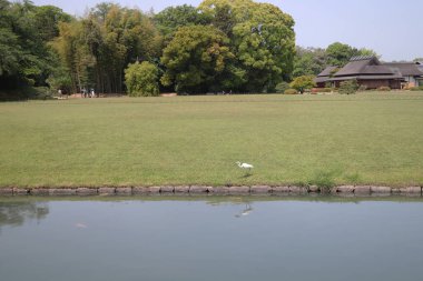 bir Korakuen; Okayama Japon bahçesinde; Japonya