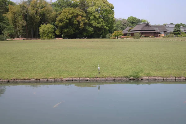 bir Korakuen; Okayama Japon bahçesinde; Japonya