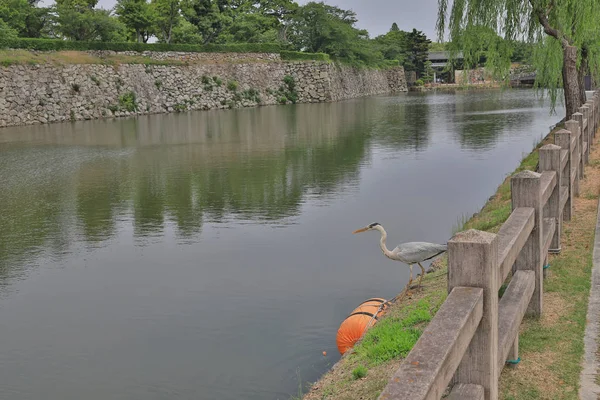 Fosso Interno Uchibori Castelo Himeji — Fotografia de Stock