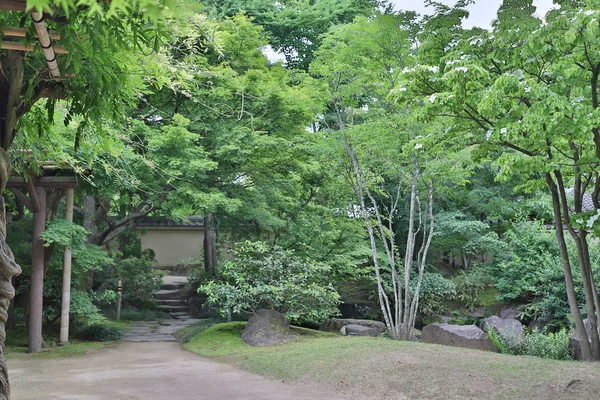 Садові Кольори Himeji Замок Hyogo Префектура — стокове фото