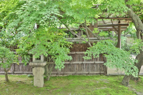 Colori Del Giardino Con Himeji Castello Prefettura Hyogo — Foto Stock