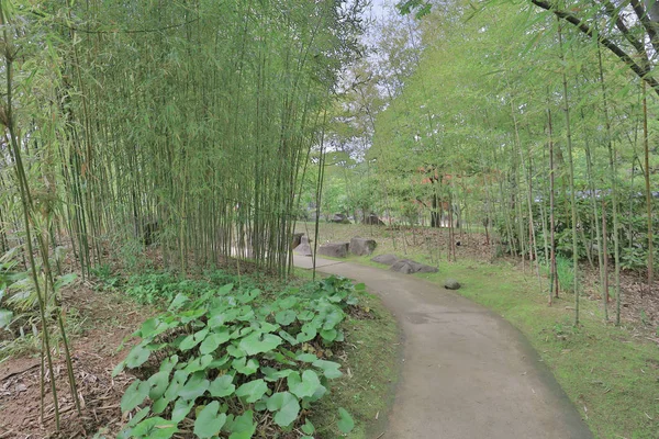 Himeji Kalesi Nde Koko Garden Hyogo Japonya — Stok fotoğraf