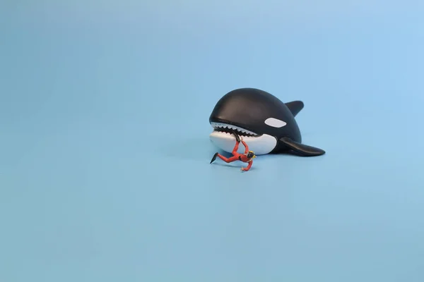 迷你潜水员图攻击鲸鱼虎鲸 — 图库照片