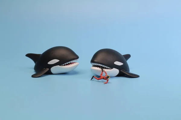 Balina Orca Mini Dalgıç Şekil Saldırısı — Stok fotoğraf