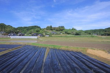 Ülke tarafında tramvay pencereden görüntüleme