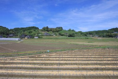 Ülke tarafında tramvay pencereden görüntüleme