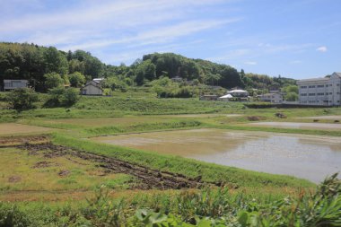 Ülke tarafında tramvay pencereden görüntüleme