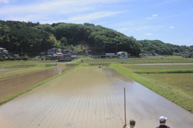 Ülke tarafında tramvay pencereden görüntüleme