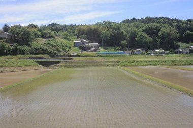 Ülke tarafında tramvay pencereden görüntüleme