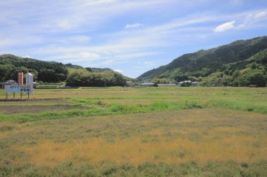 Ülke tarafında tramvay pencereden görüntüleme