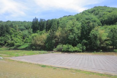 Ülke tarafında tramvay pencereden görüntüleme
