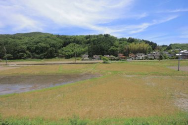 Ülke tarafında tramvay pencereden görüntüleme