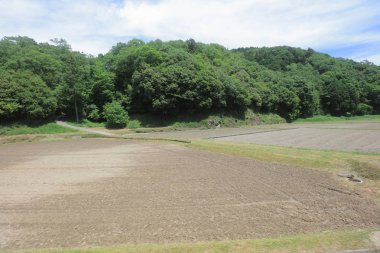 Ülke tarafında tramvay pencereden görüntüleme