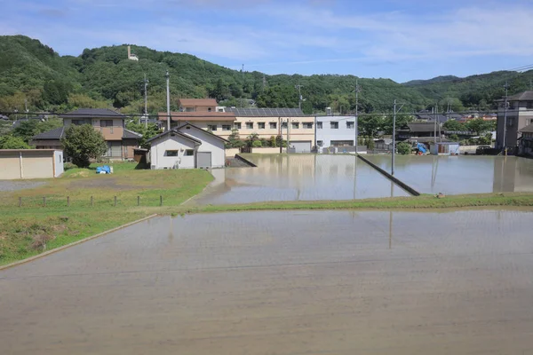 Ülke tarafında tramvay pencereden görüntüleme