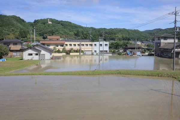 Ülke tarafında tramvay pencereden görüntüleme