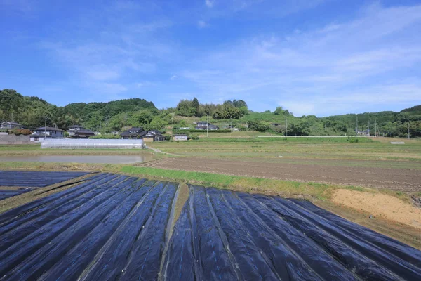 Ülke tarafında tramvay pencereden görüntüleme