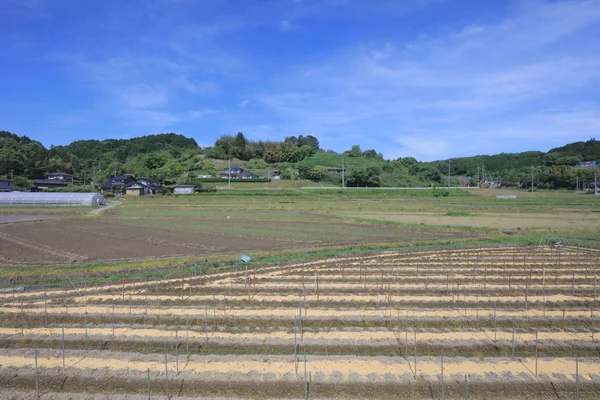 Ülke tarafında tramvay pencereden görüntüleme