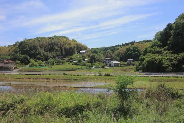 Ülke tarafında tramvay pencereden görüntüleme