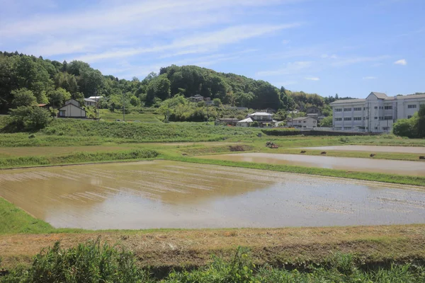 Ülke tarafında tramvay pencereden görüntüleme