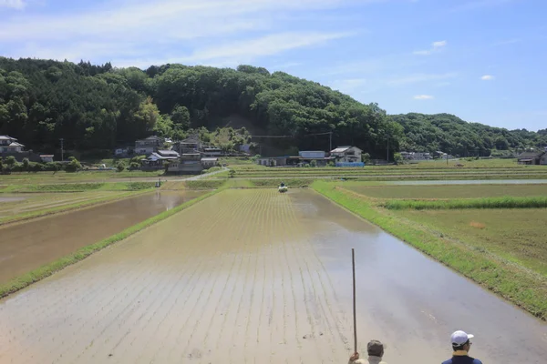 Ülke tarafında tramvay pencereden görüntüleme