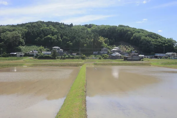 Ülke tarafında tramvay pencereden görüntüleme