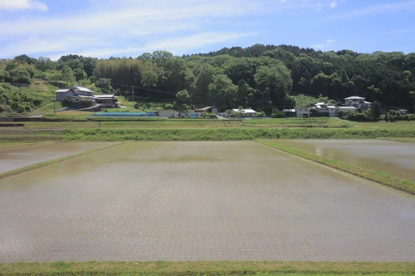 Ülke tarafında tramvay pencereden görüntüleme
