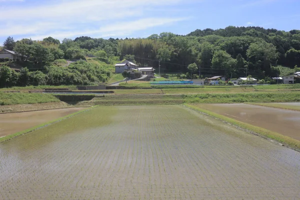 Ülke tarafında tramvay pencereden görüntüleme