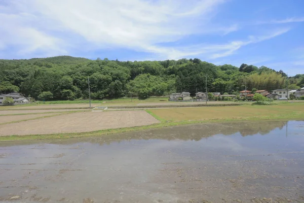 Ülke tarafında tramvay pencereden görüntüleme