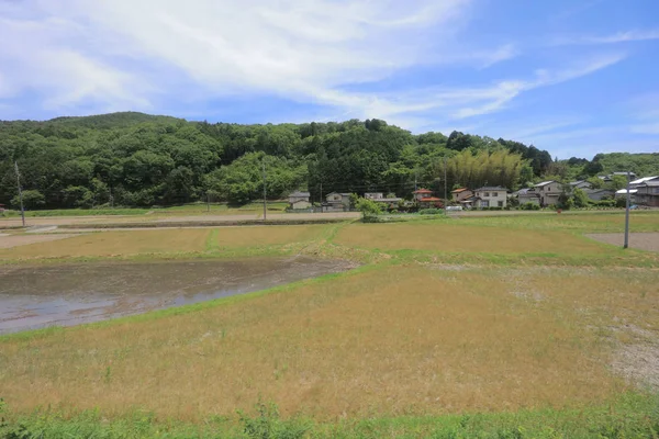 Ülke tarafında tramvay pencereden görüntüleme