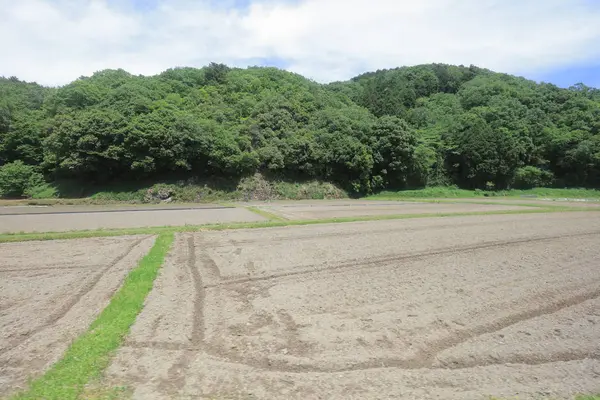 Ülke tarafında tramvay pencereden görüntüleme