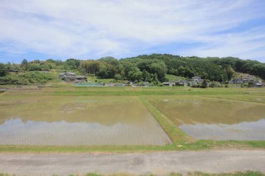 Ülke tarafında tramvay pencereden görüntüleme
