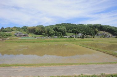 Ülke tarafında tramvay pencereden görüntüleme