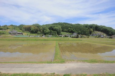 Ülke tarafında tramvay pencereden görüntüleme
