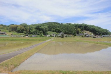 Ülke tarafında tramvay pencereden görüntüleme