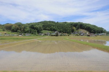 Ülke tarafında tramvay pencereden görüntüleme