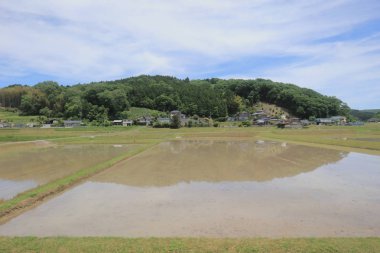 Ülke tarafında tramvay pencereden görüntüleme
