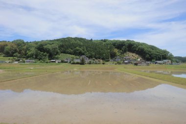 Ülke tarafında tramvay pencereden görüntüleme