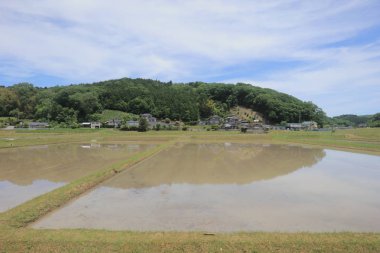 Ülke tarafında tramvay pencereden görüntüleme