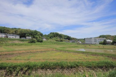 Ülke tarafında tramvay pencereden görüntüleme
