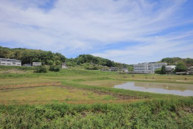 Ülke tarafında tramvay pencereden görüntüleme