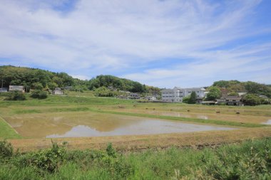 Ülke tarafında tramvay pencereden görüntüleme