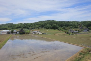 Ülke tarafında tramvay pencereden görüntüleme