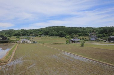 Ülke tarafında tramvay pencereden görüntüleme
