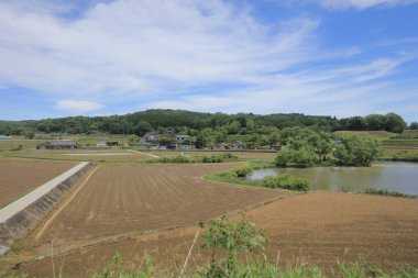 Ülke tarafında tramvay pencereden görüntüleme