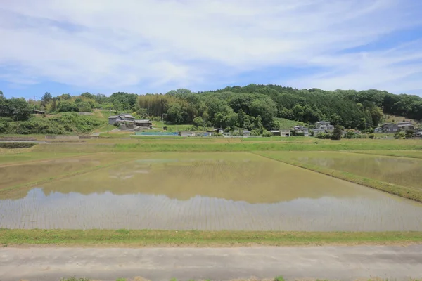 Ülke tarafında tramvay pencereden görüntüleme