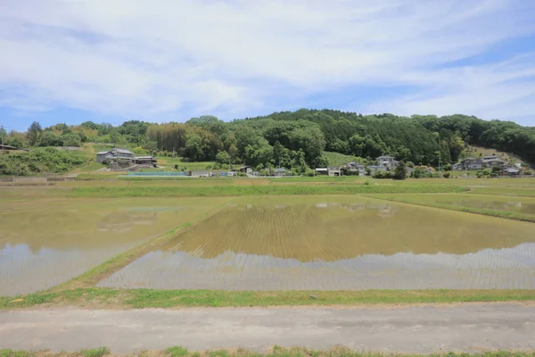 Ülke tarafında tramvay pencereden görüntüleme