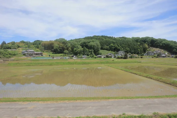 Ülke tarafında tramvay pencereden görüntüleme